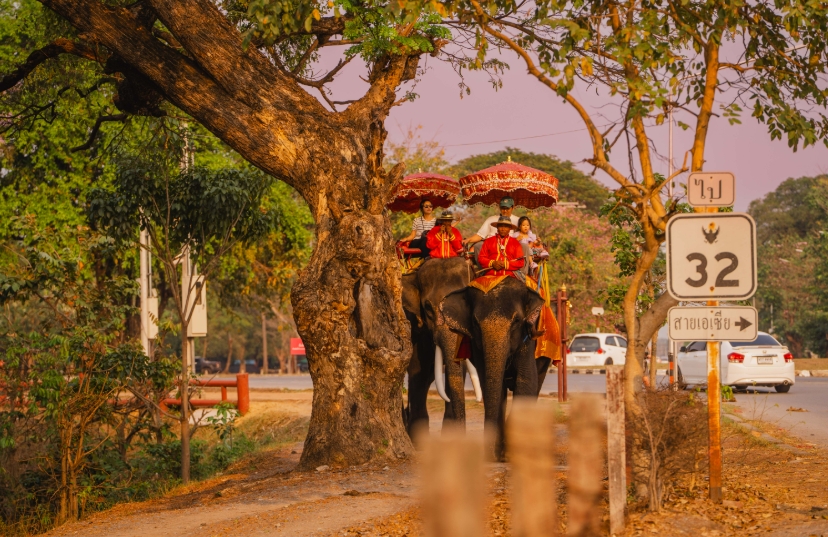 (아속출발) 아유타야 선셋 리버크루즈 반일 투어