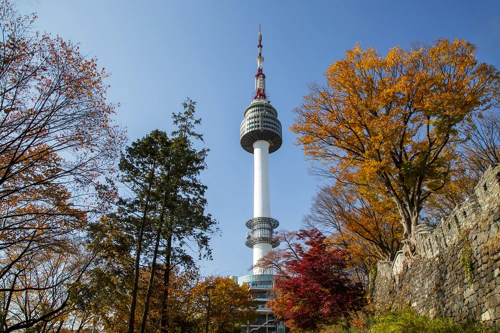 N서울타워 전망대 입장권 ✨