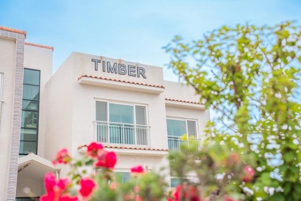 제주 팀버하우스 펜션