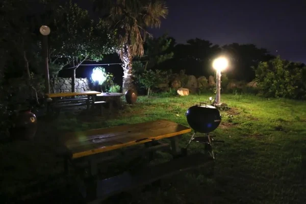 제주 하림 엡새 엡뷔게 노래하고