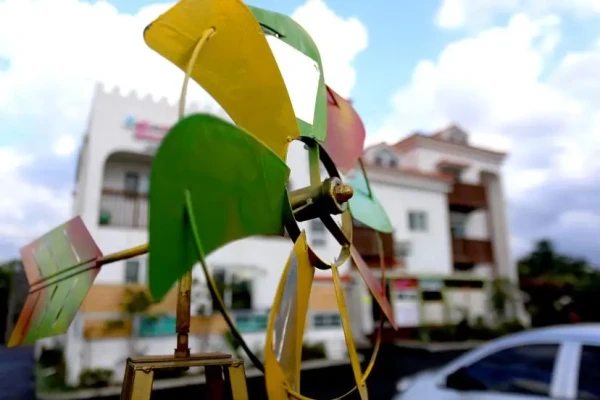 제주 하림 엡새 엡뷔게 노래하고