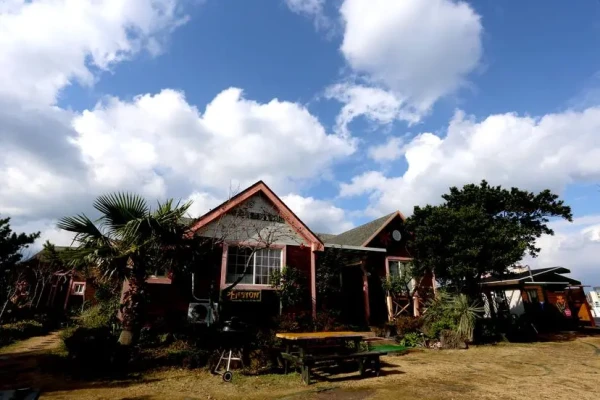 제주 하림 엡새 엡뷔게 노래하고