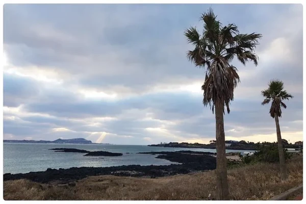 제주 무지개 펜션 & 게스트하우스