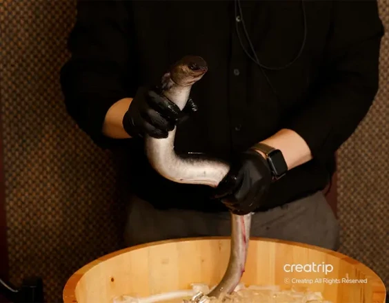 강남 레스토랑 | 영동장어