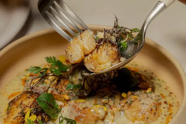 심파티쿠스 서울역점 | 고급 다이닝 & 와인 바