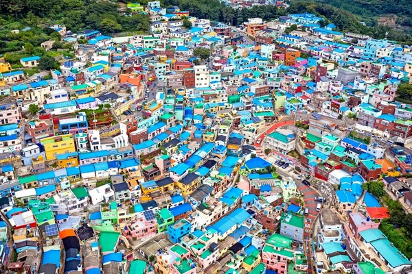 서부산 핫스팟 일일 투어 | 태종대 + 흰여울문화마을 + 감천문화마을 + 송도스카이워크 | 부산출발