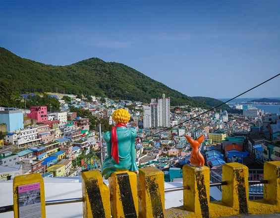 서부산 핫스팟 일일 투어 | 태종대 + 흰여울문화마을 + 감천문화마을 + 송도스카이워크 | 부산출발