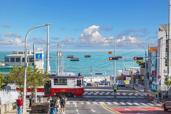 부산해변열차 + 해동용궁사 + 송정해수욕장 + 송도스카이워크 + 감천문화마을 일일투어 | 부산출발