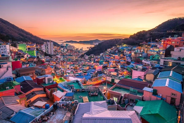 부산해변열차 + 해동용궁사 + 송정해수욕장 + 송도스카이워크 + 감천문화마을 일일투어 | 부산출발