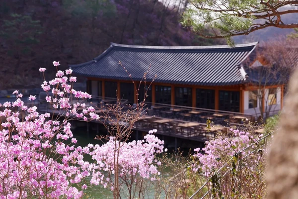 화담식물원 + 동식물원 + 스타필드 하남몰 일일투어 | 서울 출발