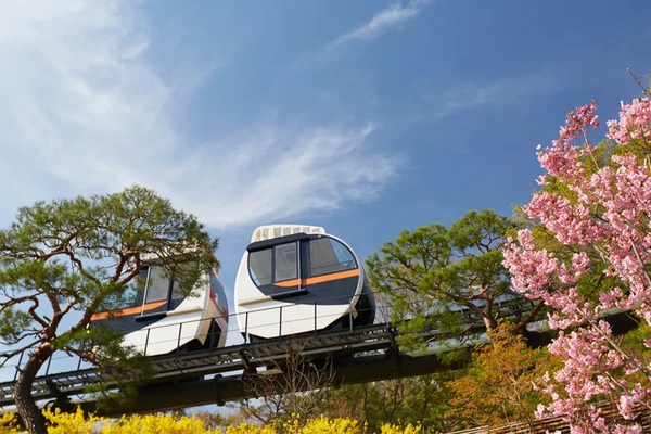 화담식물원 + 동식물원 + 스타필드 하남몰 일일투어 | 서울 출발