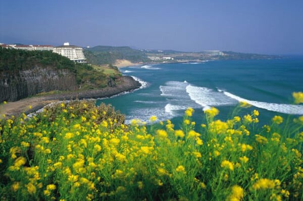 제주투어(동부코스) | 제주 출발