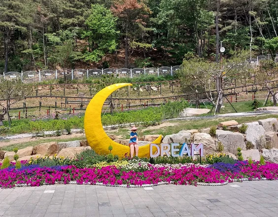 인천 x 경기 봄 벚꽃 명소 일일 투어 | 서울 출발