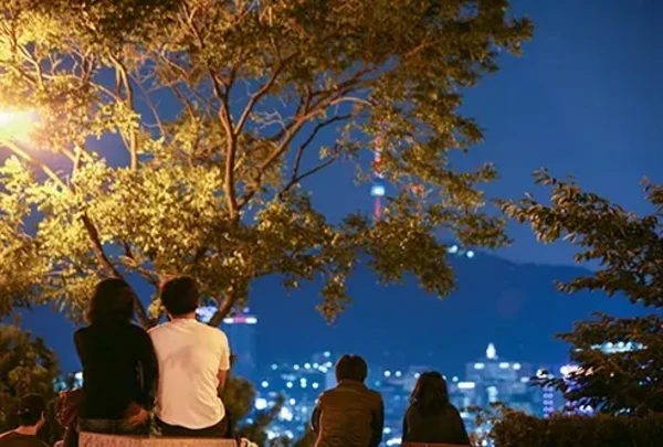 서울 나이트 투어: 북악스카이웨이 & 낙산공원 코스
