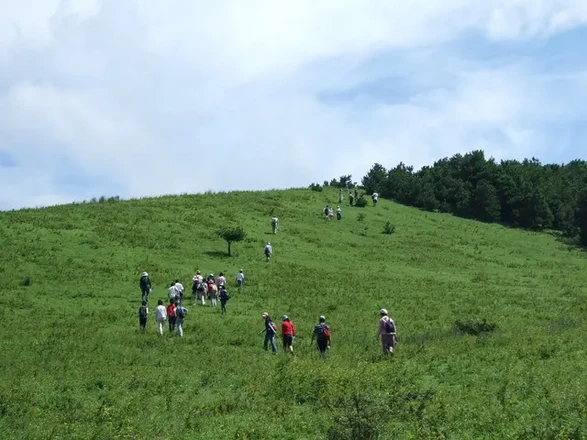 외국인을 위한 제주 웰니스 투어