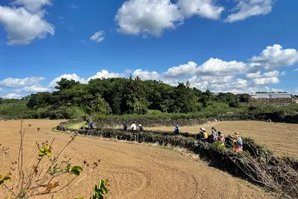 외국인을 위한 제주 웰니스 투어