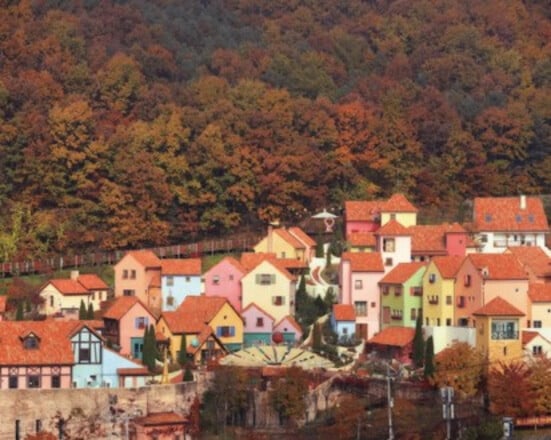 남이섬 + 쁘띠프랑스 + 이탈리아 마을 + 동대문시장 당일치기 (1일 투어)