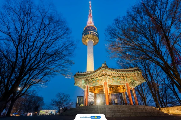 식사 포함 관광지 입장료 전용 차량 가이드/물품 비용