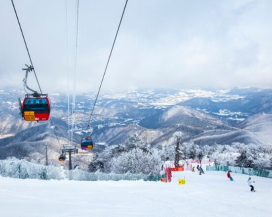 평창&정선 2일투어(메도우코스·스카이로드·감각여행) – 서울출발