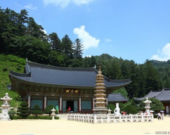 평창&정선 2일투어(메도우코스·스카이로드·감각여행) – 서울출발