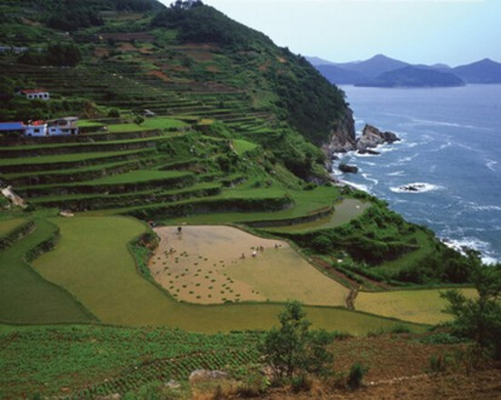 경상남도 2일 투어(한려뱃길) – 서울 출발