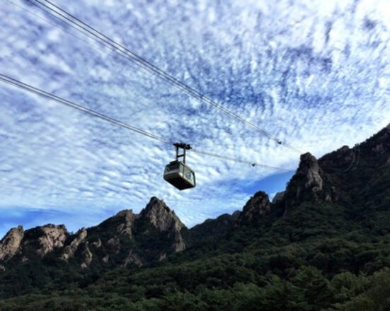 강원도 2일투어(인제·속초·원대리 자작나무숲·설악산) - 서울출발