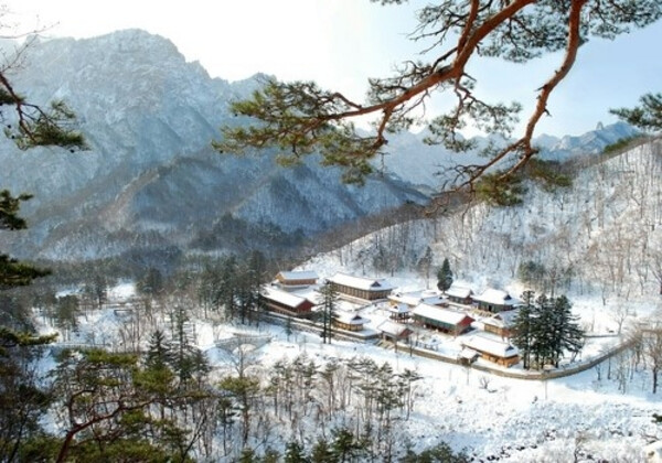 강원도 2일투어(인제·속초·원대리 자작나무숲·설악산) - 서울출발