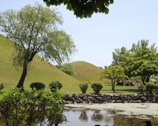 경상도 3일 투어 (경주·부산)