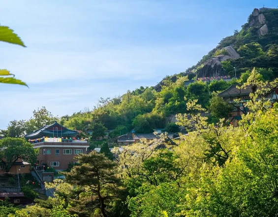 고스트 투어 | 도보 여행