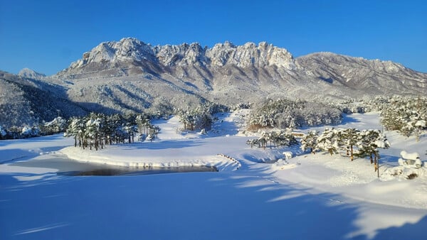[서울 출발] 설악산 파노라마 하이라이트 (당일투어)