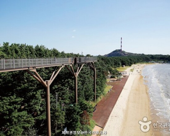 외국인을 위한 한국여행 - 서해안 2박 3일(목포, 해남, 고창)