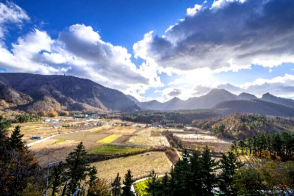 [포항 영일만항/독도 포함] 울릉도 3일 #1박크루즈 #1박울릉도 #호텔퀄리티 #육상투어(A코스) #예림원