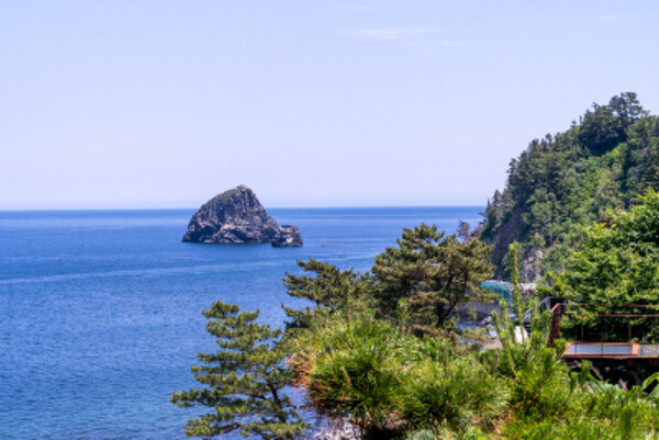 [포항 영일만항/독도 포함] 울릉도 3일 #1박크루즈 #1박울릉도 #호텔퀄리티 #육상투어(A코스) #예림원