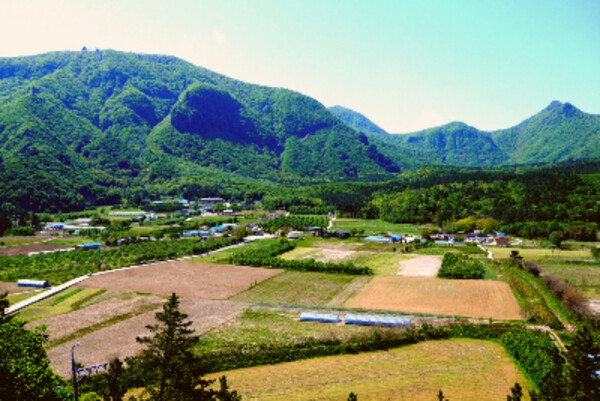 [포항 영일만항/독도 포함] 울릉도 3일 #1박크루즈 #1박울릉도 #호텔퀄리티 #육상투어(A코스) #예림원