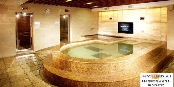 노보텔 앰배서더 서울 강남