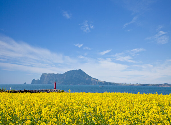 한국 전국 일주 – 문화, 자연, 도시 탐방 13일
