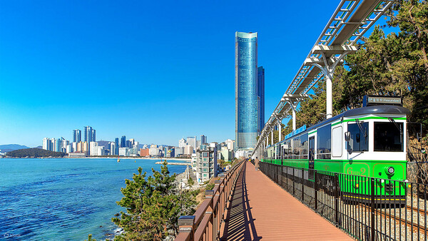 부산 세븐브릿지 일일 투어ㅣ부산 출발