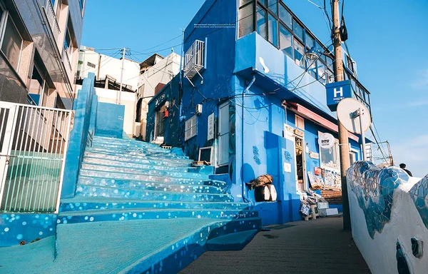 서부산 핫스팟 일일 투어 | 태종대 + 흰여울문화마을 + 감천문화마을 + 송도스카이워크 | 부산출발