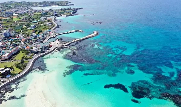 외국인을 위한 제주 웰니스 투어