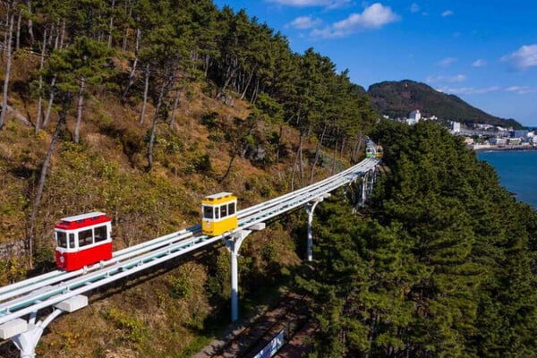 노을 해운대스카이캡슐 & 부산야경 일일투어 | 부산출발