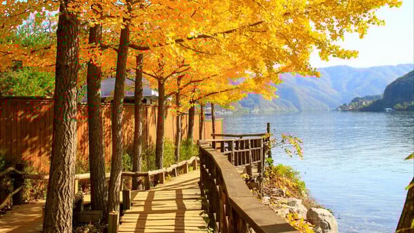 남이섬 + 쁘띠프랑스 + 이탈리아 마을 + 동대문시장 당일치기 (1일 투어)