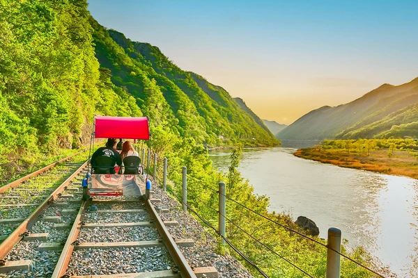 [서울 출발] 어비계곡, 남이섬 & 레일바이크 (1일 투어)