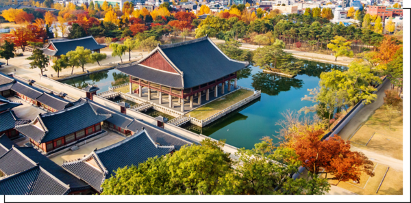 한국 시그니처 4박 5일 투어 – 서울 · 남이섬 · 설악산 · 롯데월드 (노쇼핑 / 노옵션 / 노팁)