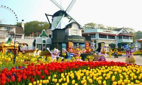 한국 인플루언서 4박 5일 투어 – 서울 민속촌 & 에버랜드 · 강원: 남이섬 & 설악산 (노쇼핑 / 노옵션 / 노팁)