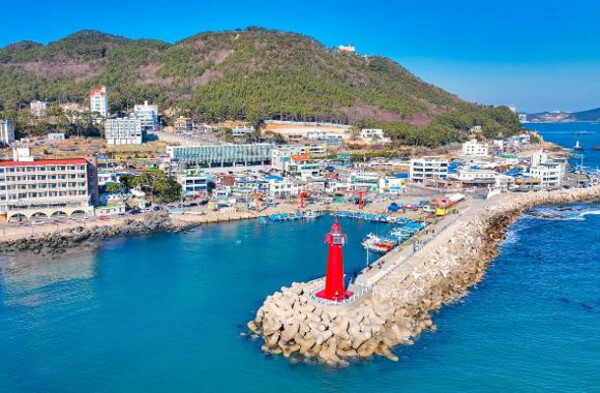 한국 인플루언서 4박 5일 투어 – 서울 2박 & 부산 2박 (노쇼핑 / 노옵션 / 노팁)