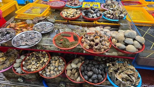 Jagalchi Fish Market – Korea’s Largest Seafood Market