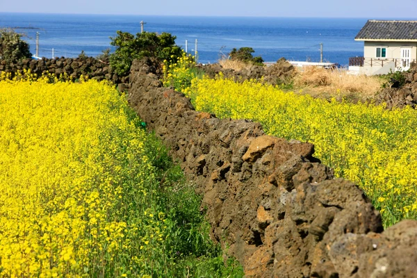 여행자를 위한 제주도 3일 투어 – 서울 출발