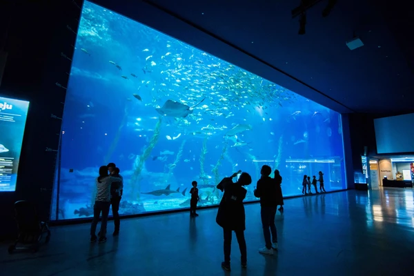 여행자를 위한 제주도 3일 투어 – 서울 출발