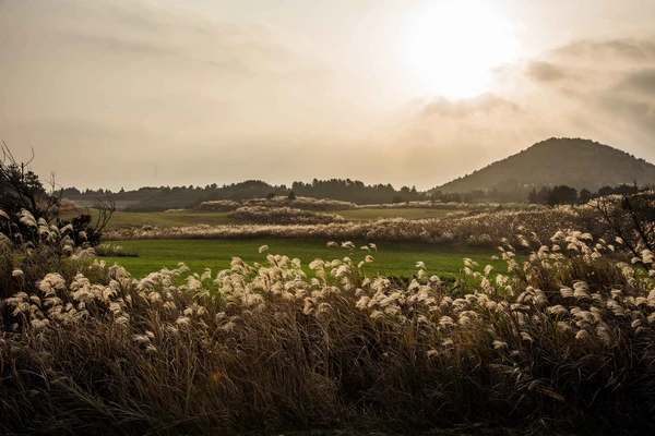 여행자를 위한 제주도 3일 투어 – 서울 출발