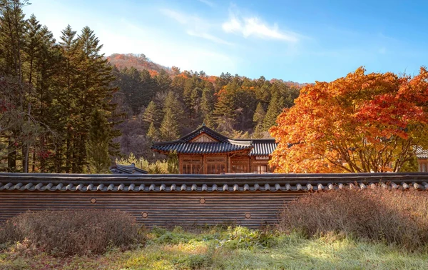 강원도 동부지역 3일투어(강릉·속초·삼척) - 서울출발